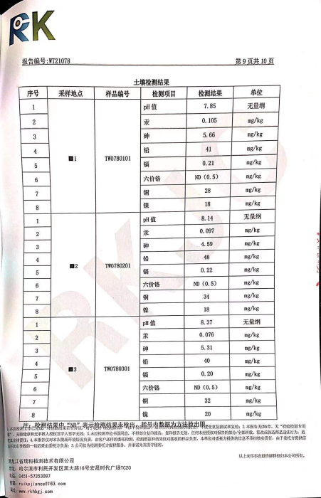 图片10 图片10